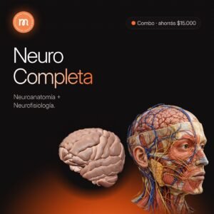 Neuro Completa (combo)