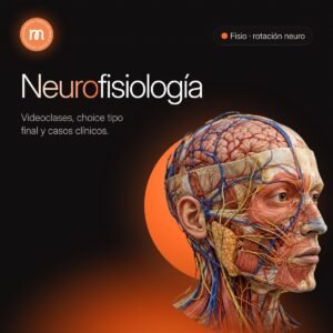 Neurofisiología