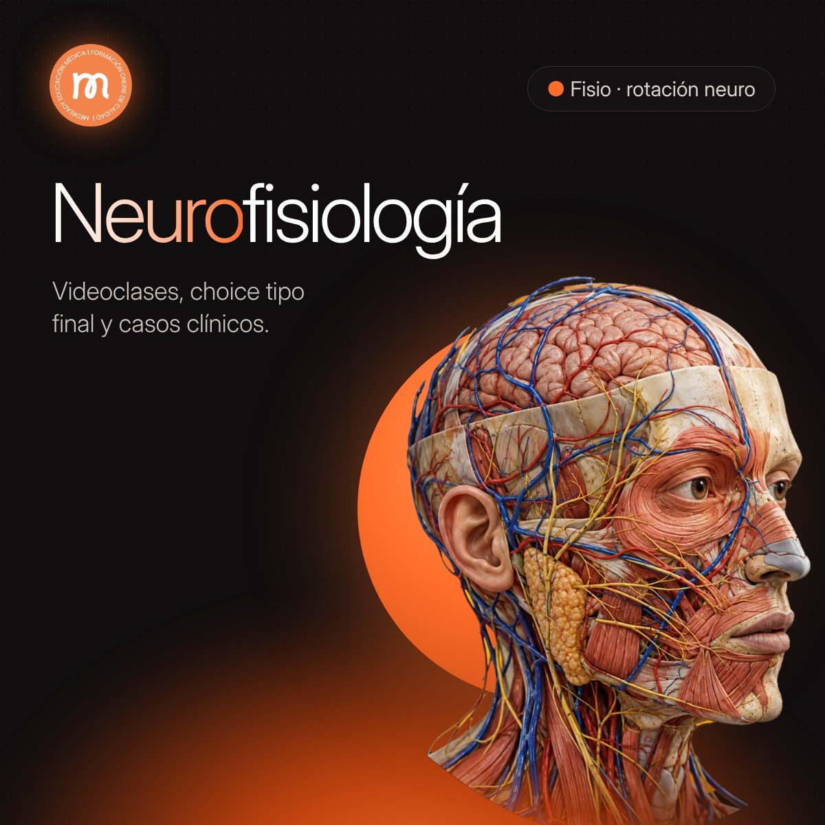 Neurofisiología